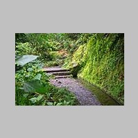 Madeira_2019_11_14_0233_Sao_Jorge-Levada_do_Rei_IMG_9067.jpg